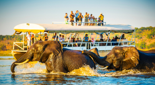 The Ideal Travel Seasons is to Book Now and Travel Later - Botswana