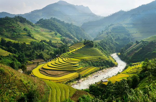 Best Month to Visit Vietnam- Sapa Town, Ha Giang Terraced Rice Fields