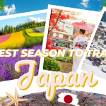 Discovering the Best Season to Travel in Japan