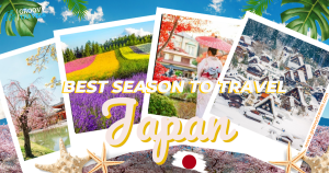 Discovering the Best Season to Travel in Japan