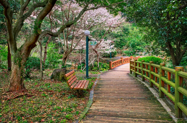 When Visiting South Korea-Jeju Olle Trails